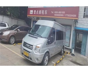 商務(wù)車(chē) (6)